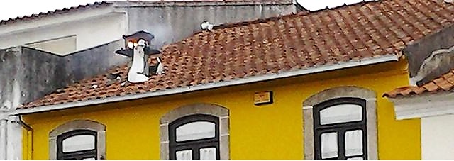chamineincendiar