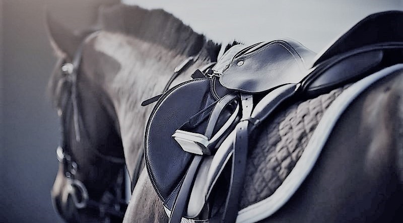 cavalo