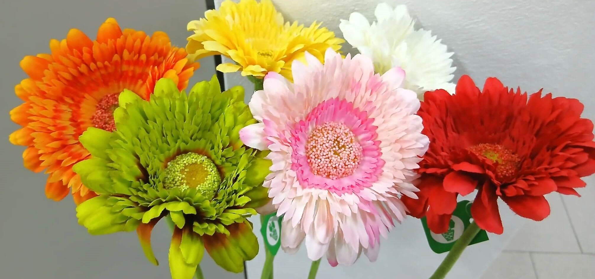 flores14