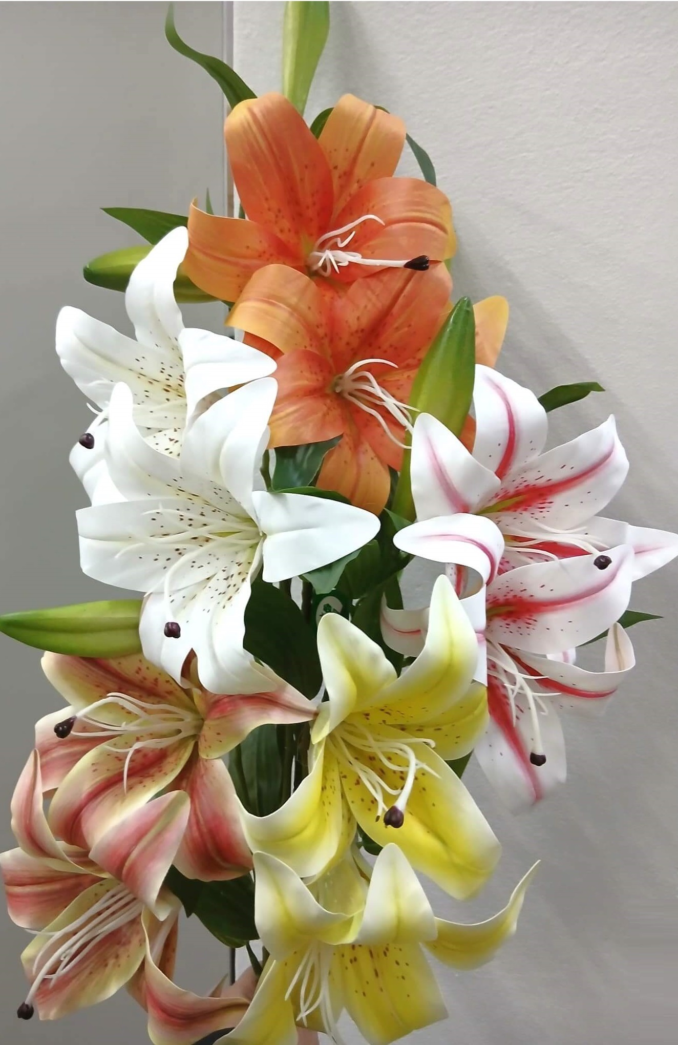 flores4