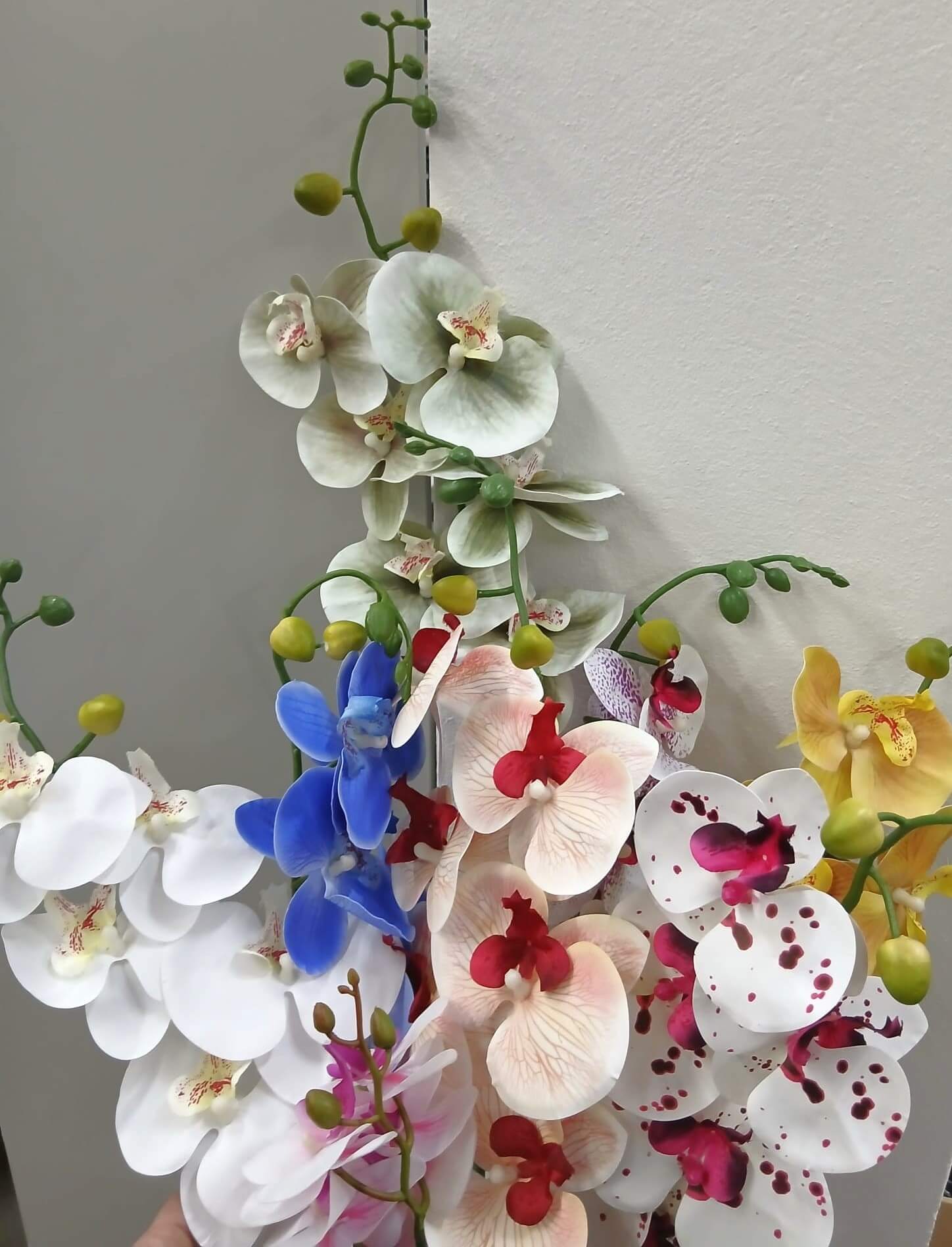 flores5
