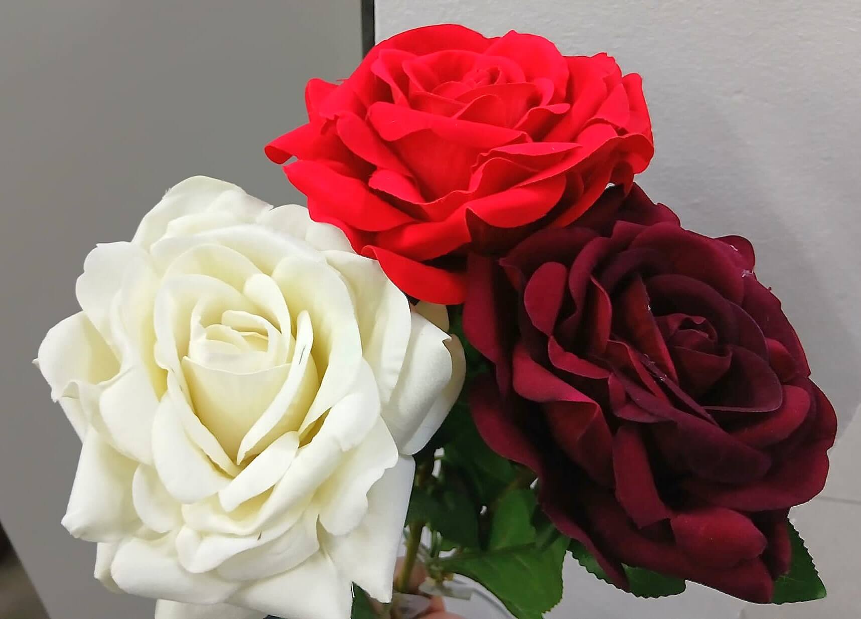 flores8
