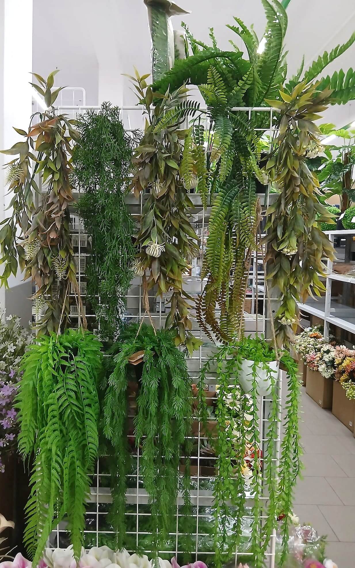 plantas2025