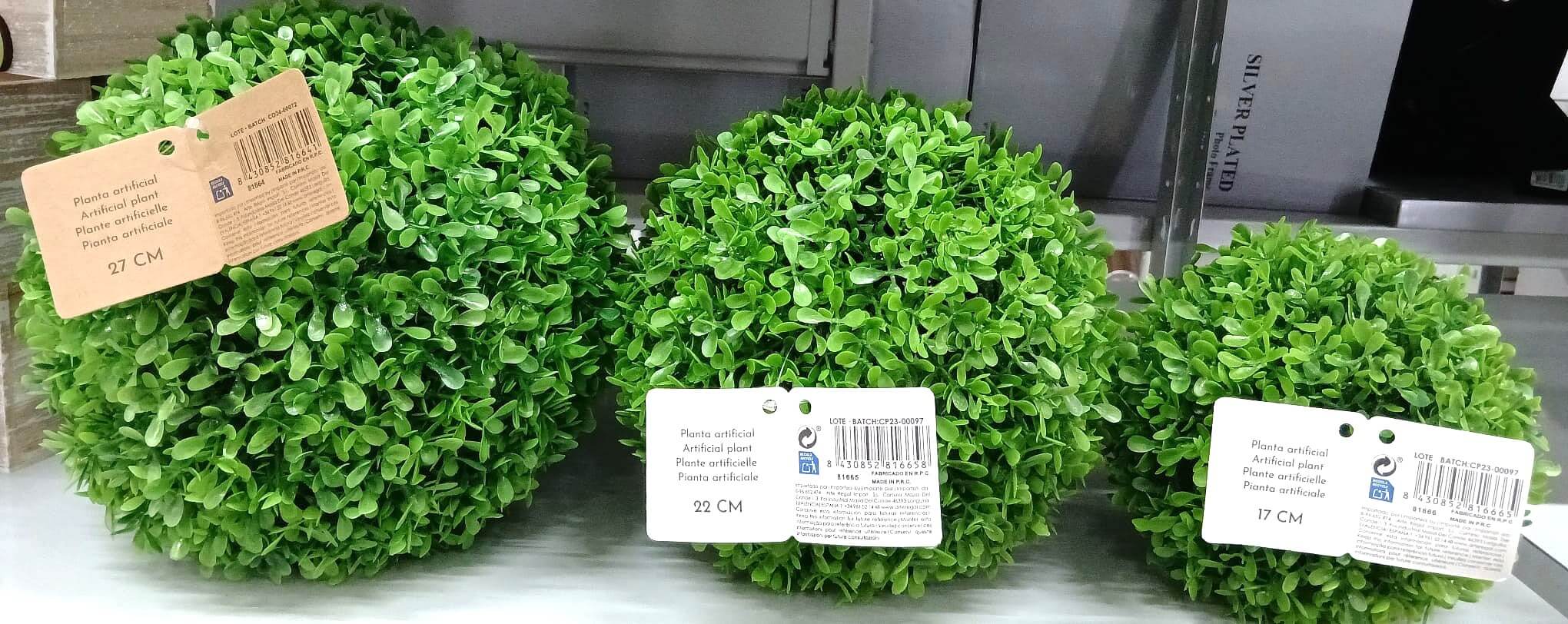 plantas5