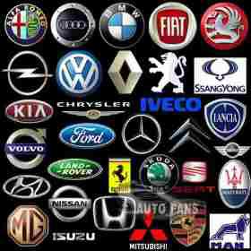 oviautologo