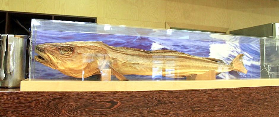 bacalhaugigante