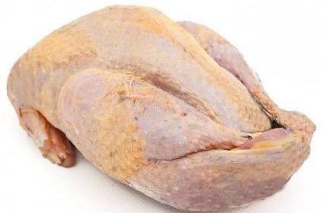 faisaocongelado