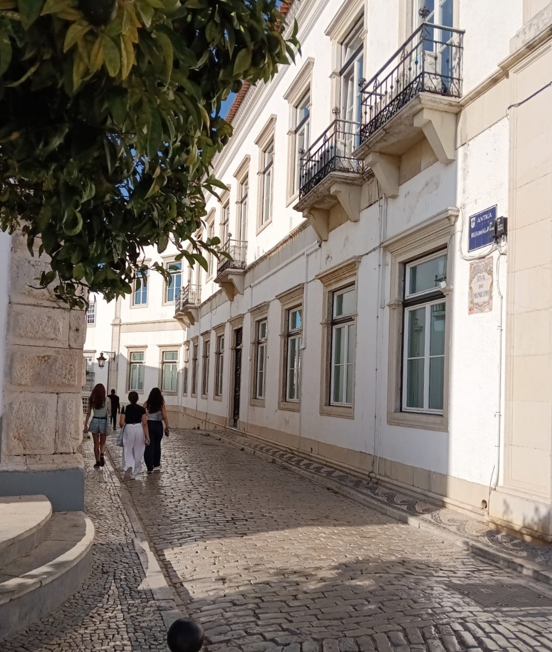 janelas20