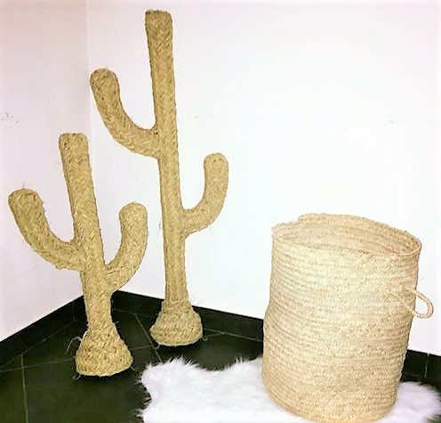 catos