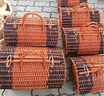 cesta5