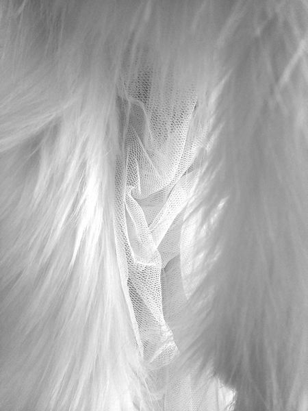 Plumas Brancas