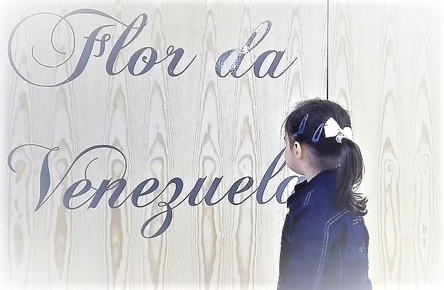 florvenezuelaentrada