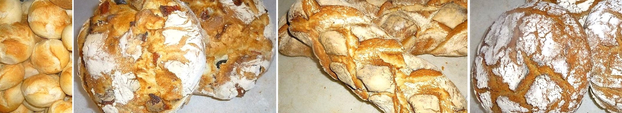 tirapadaria.jpg