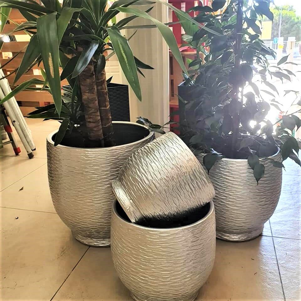plantas3