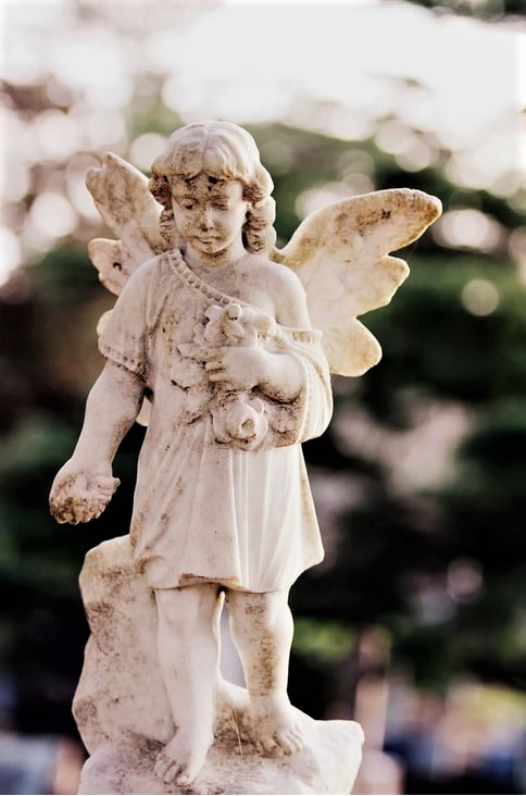 anjo