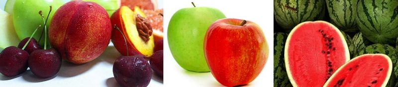 Banner 2