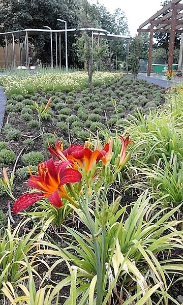 jardim3