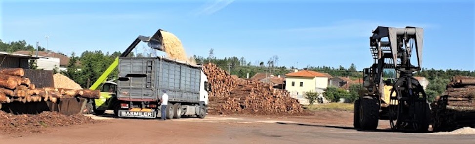 panoramica4