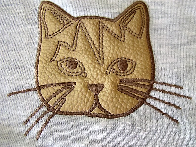 gato