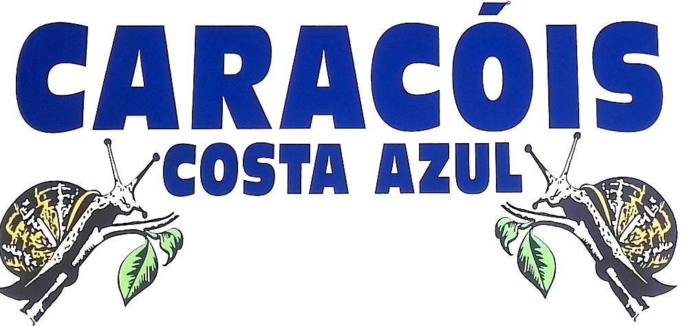 Logo grande