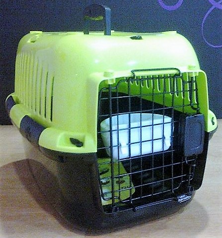 transportadora