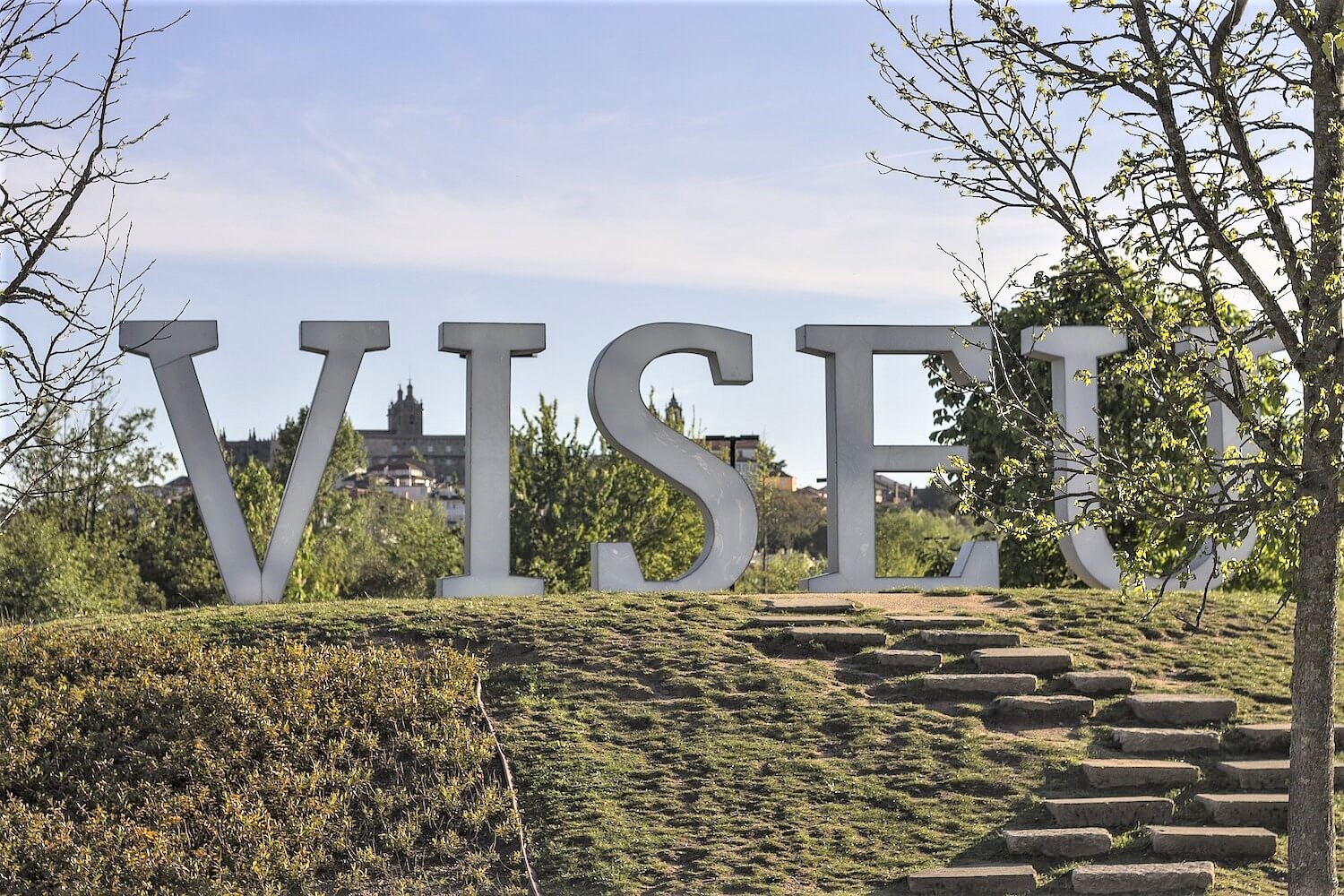 viseu4