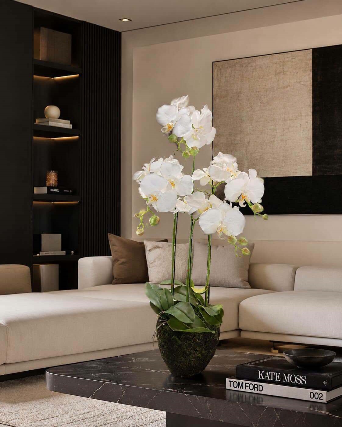 deco20266.jpg