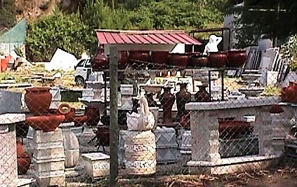 foto2