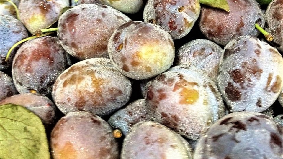 ameixas