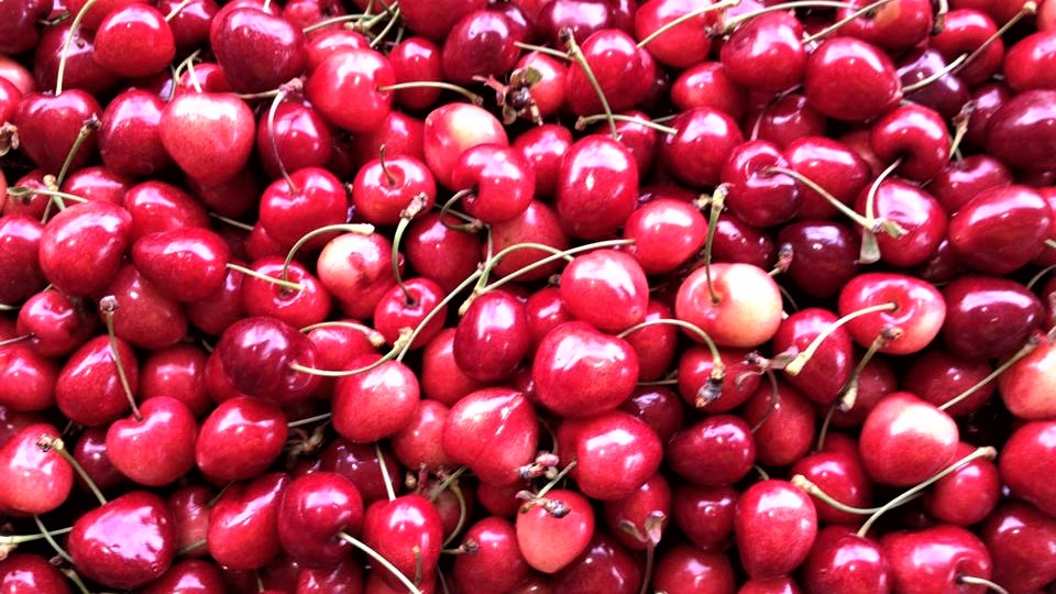 cerejas