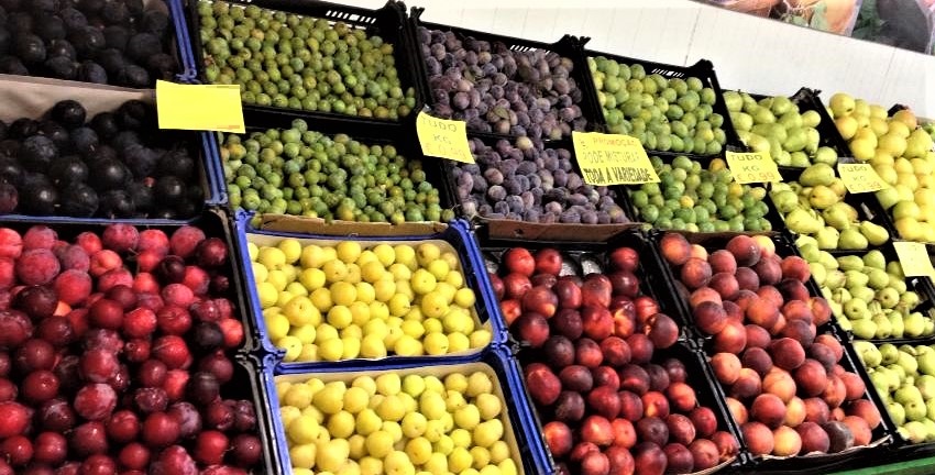 frutas