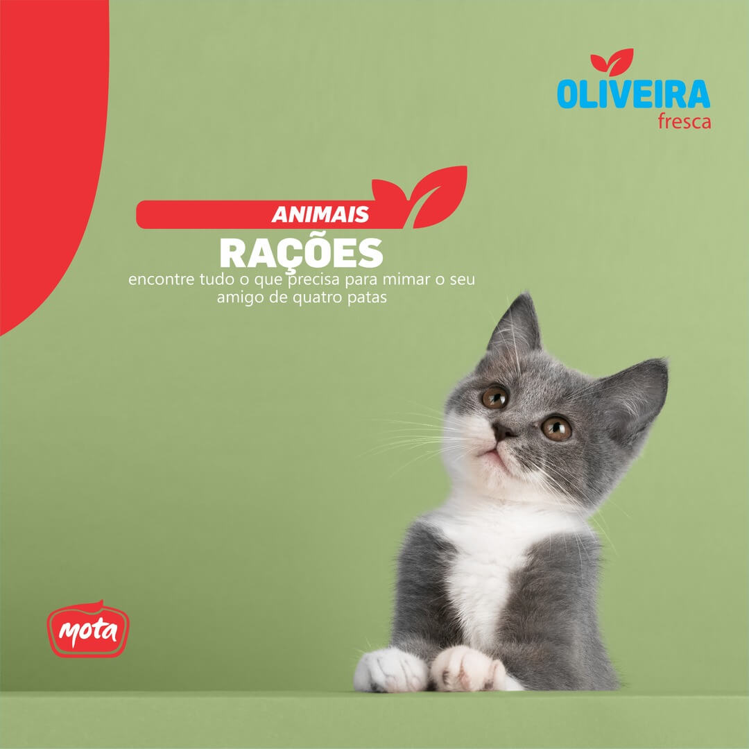 racoes