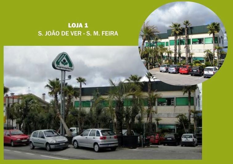 Loja Feira