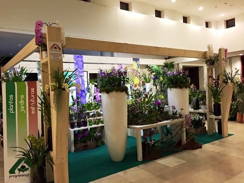 Stand panoramica lado