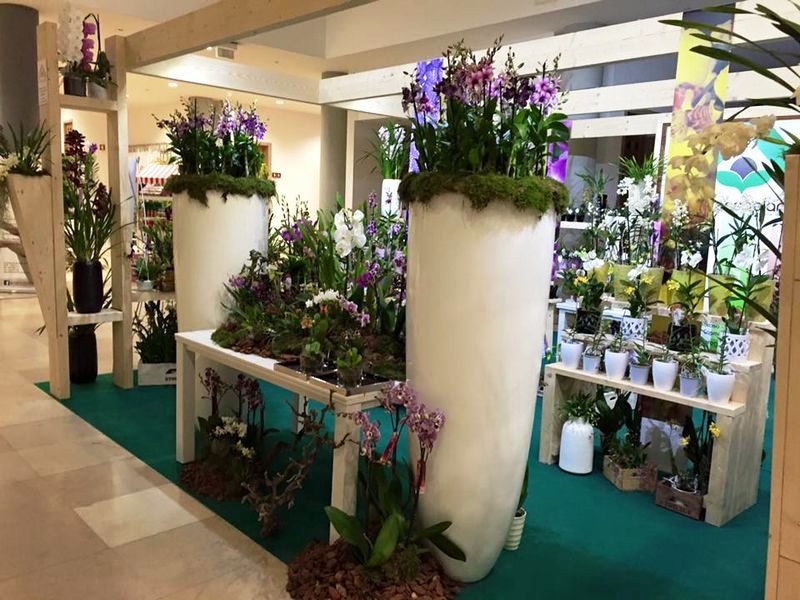 Stand panoramica vaso