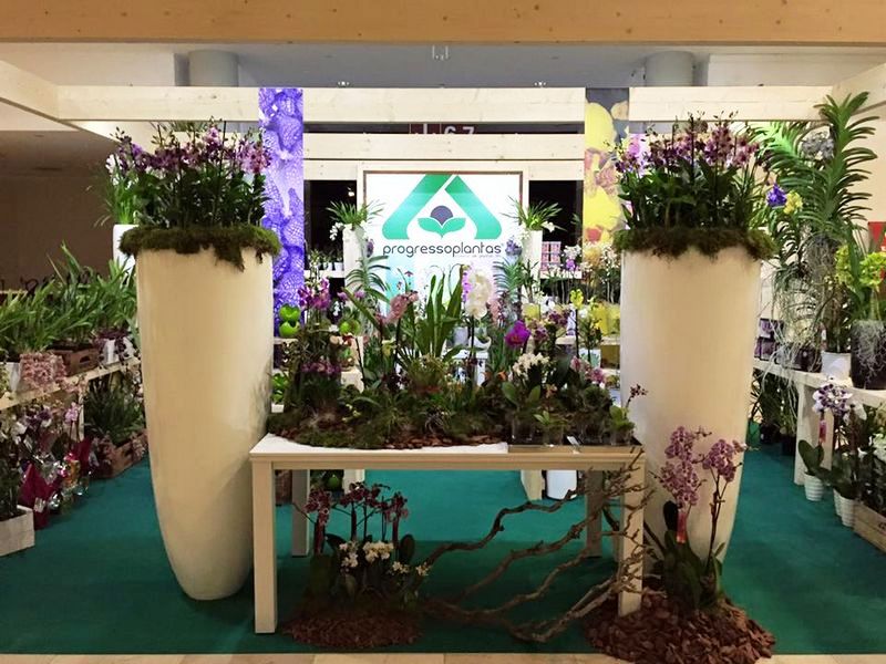 Stand Panormica