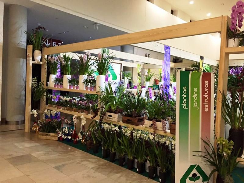 Stand panoramica lado 2
