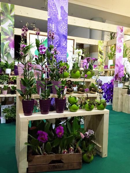 Stand Verde