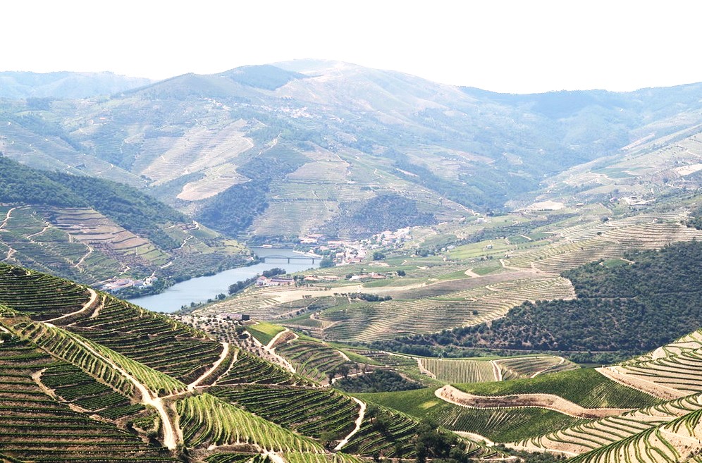 douro2