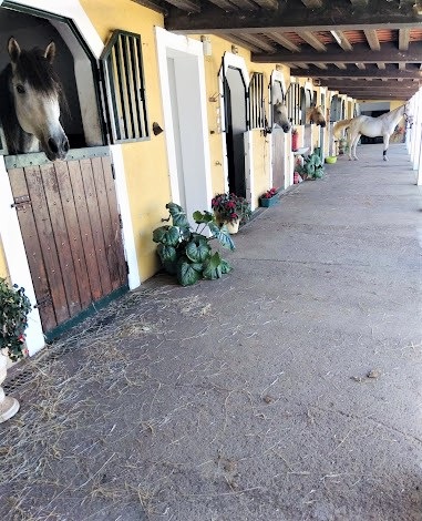 quinta2