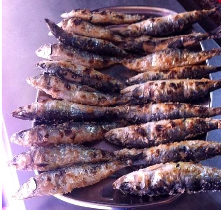 sardinhada