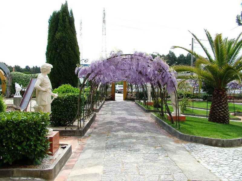 Entrada