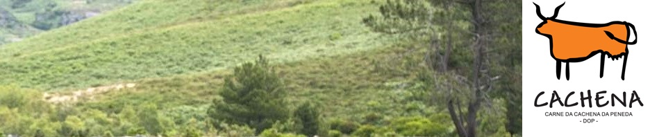 tiracontactos