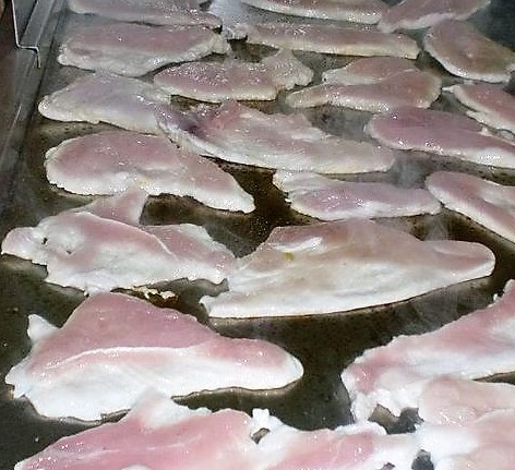 febrasgrelha