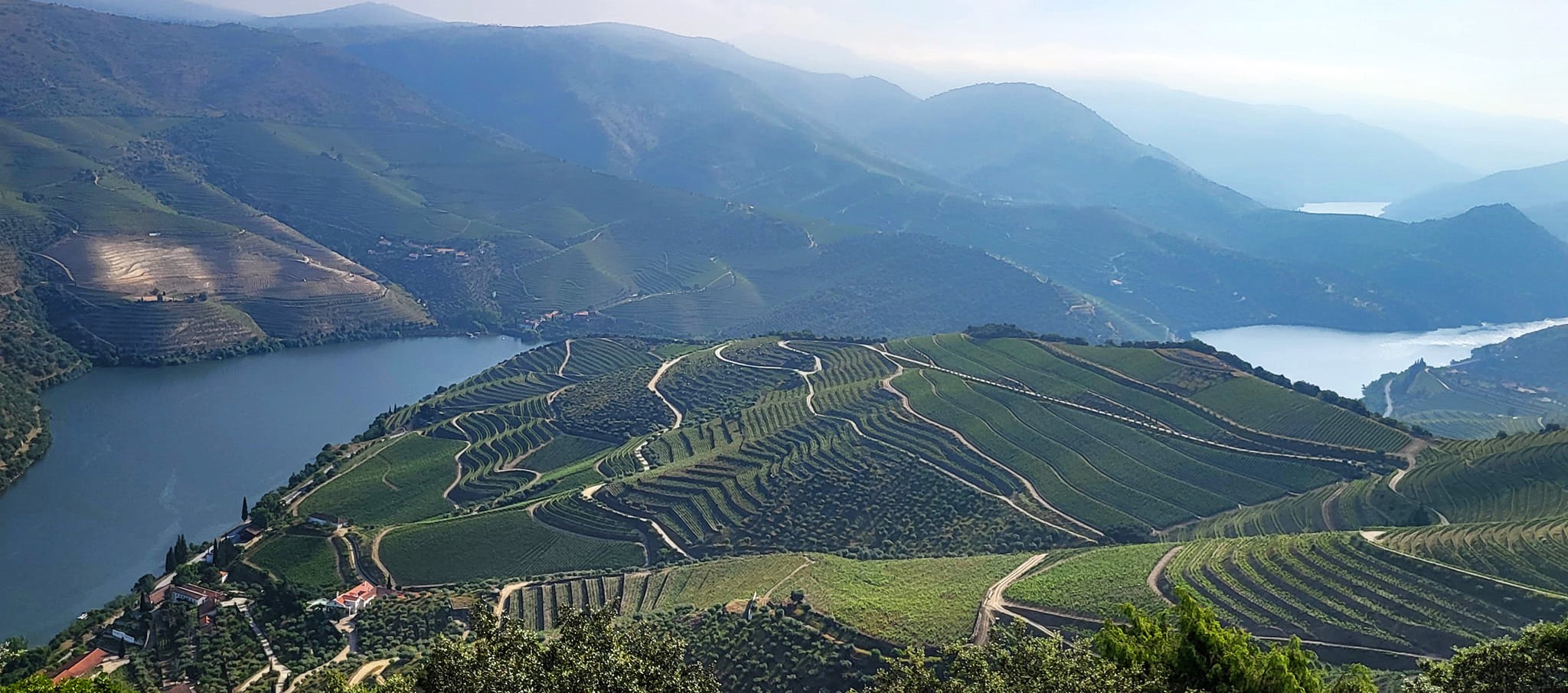 douro2025.jpg