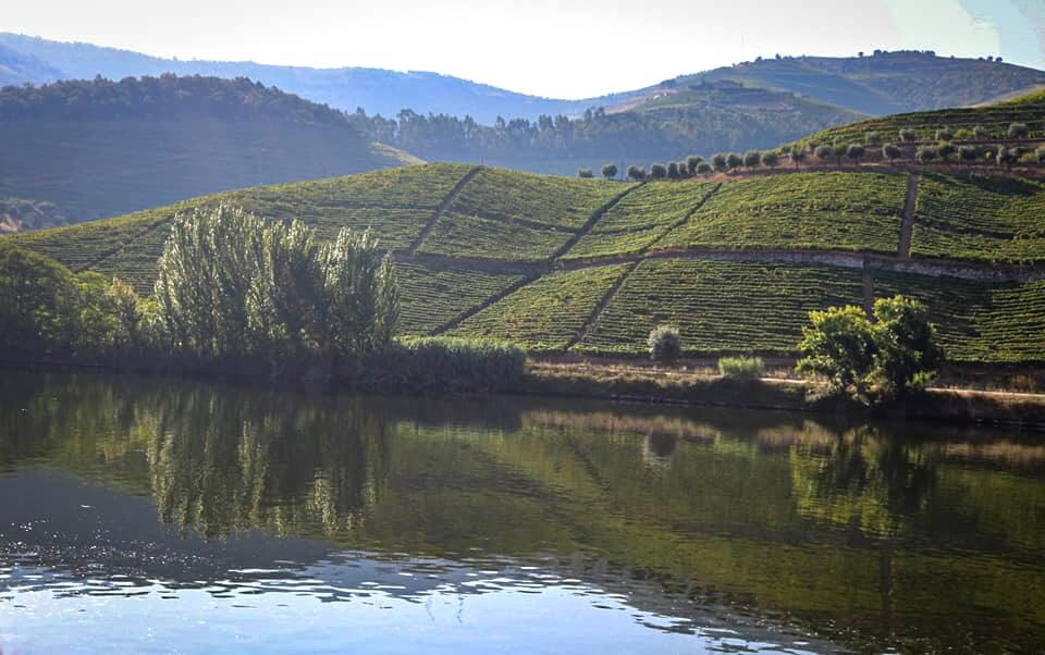 douro20255.jpg