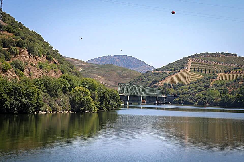 ponte5