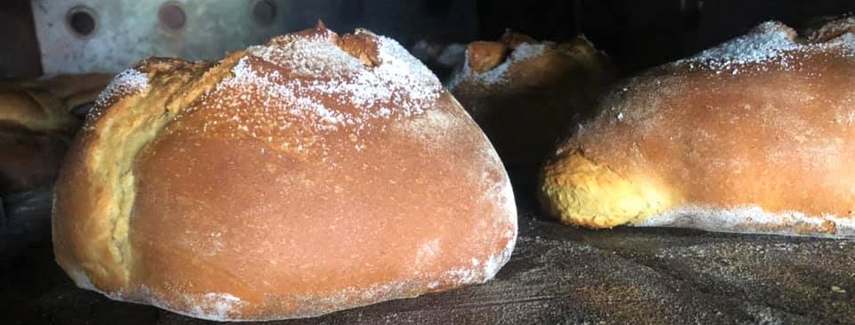 folarforno