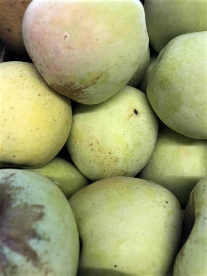 maca