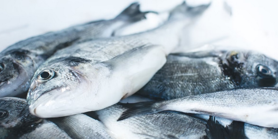 peixe